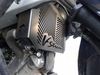 Radiator Guard